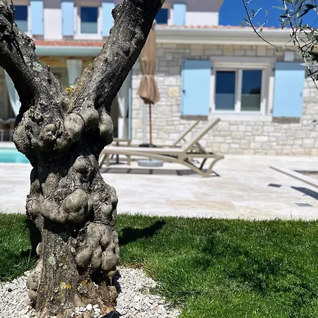 Oliva Tar Villa Tar-Vabriga